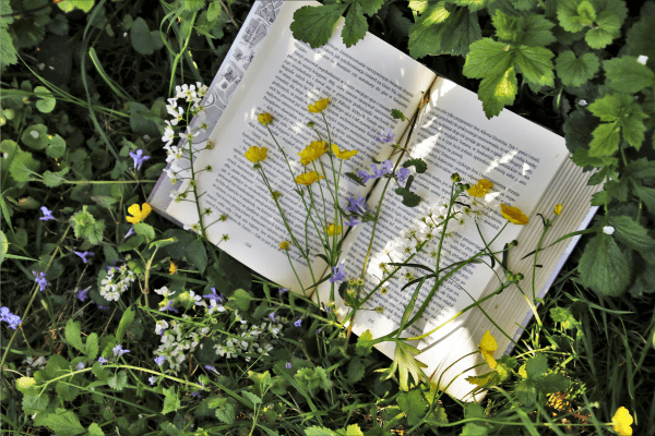 libros de primavera
