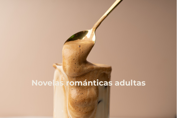 novelas romanticas adultas